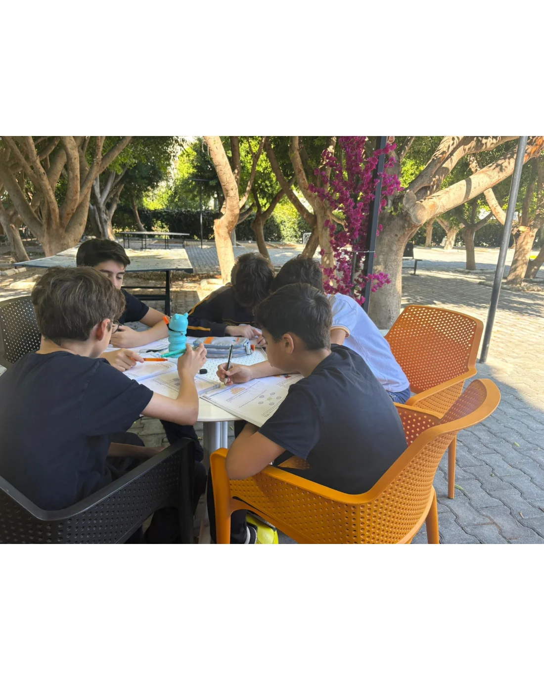 Açık Hava İş Birlikli Öğrenme Aktivitesi