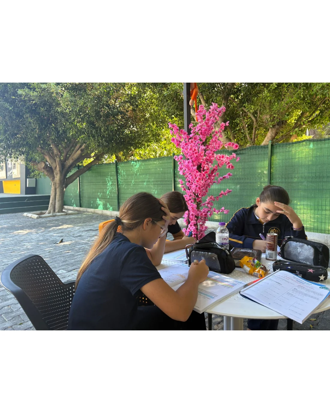 Açık Hava İş Birlikli Öğrenme Aktivitesi