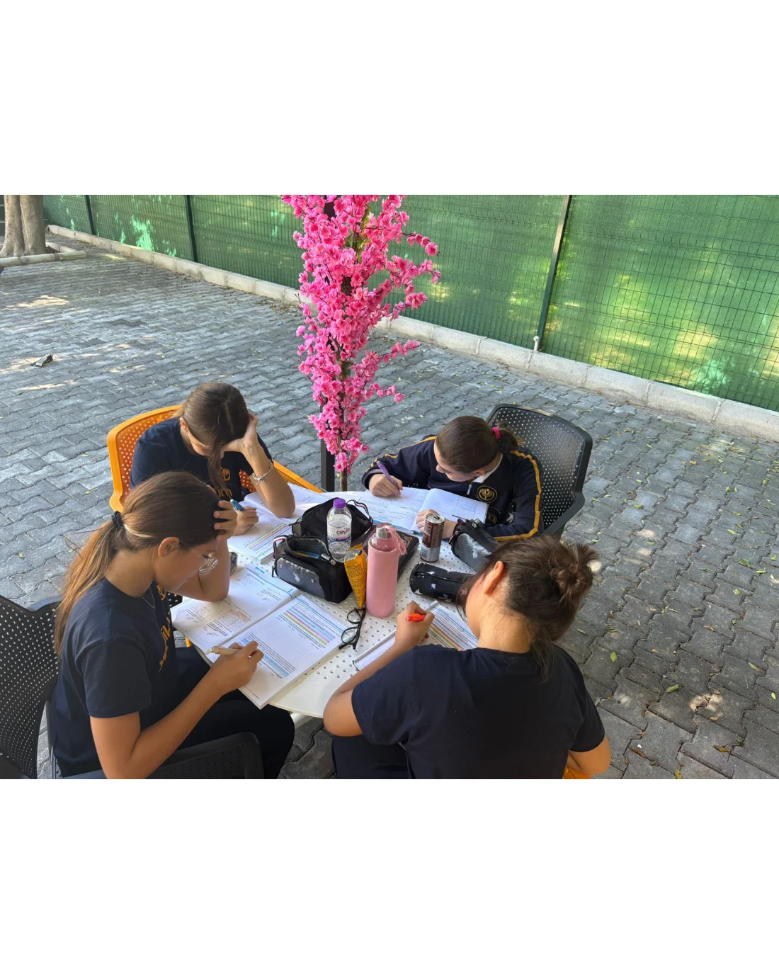 Açık Hava İş Birlikli Öğrenme Aktivitesi